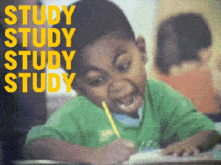 Study study study study