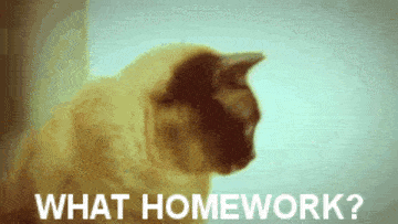 What homework?